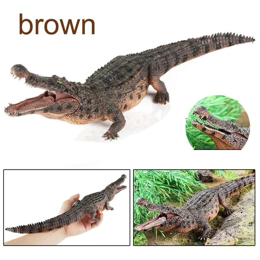 Amphibian Crocodile Model Simulation Mobile Clay Education and interesting games Review 2026: 293 Verified Reviews