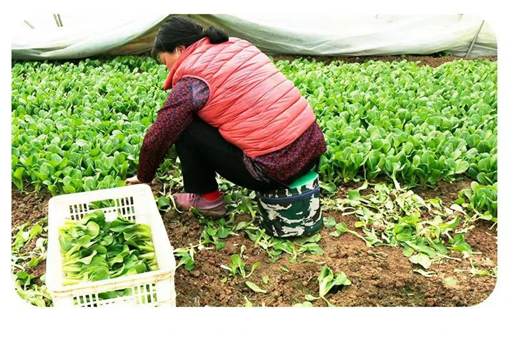 Removable Foam Stool Lightweight Convenient Alternative Knee Pads for Work Weedi Review 2026: 342 Verified Reviews